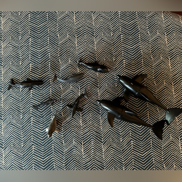 Amazon Other - Set of 8 Ocean Critters 🤎